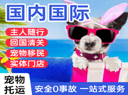 塔城千泉机场货运国际宠物托运 【国